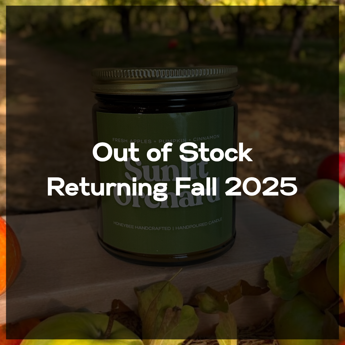 Sunlit Orchard Candle