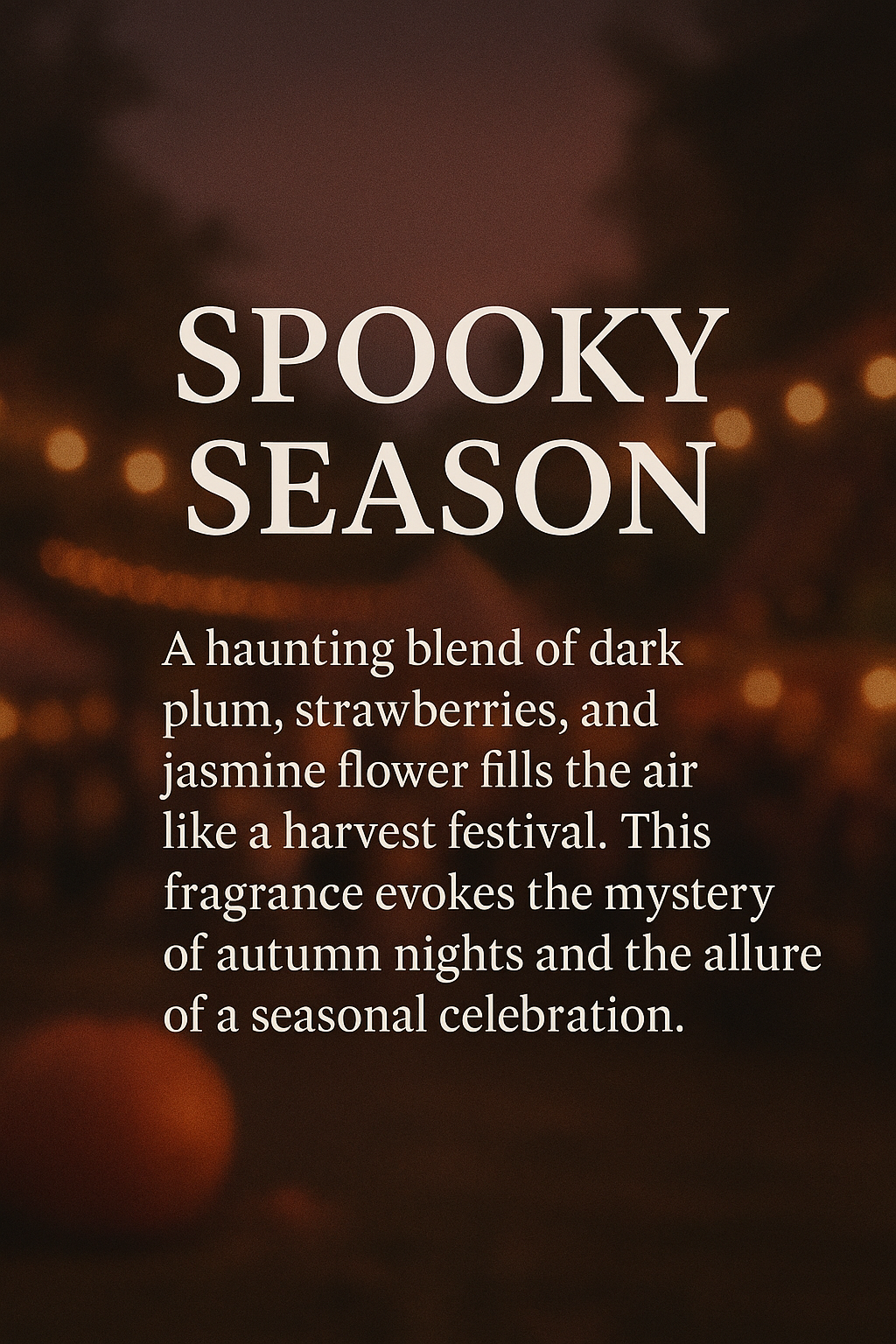 Seasonal Candle Discovery Bundle